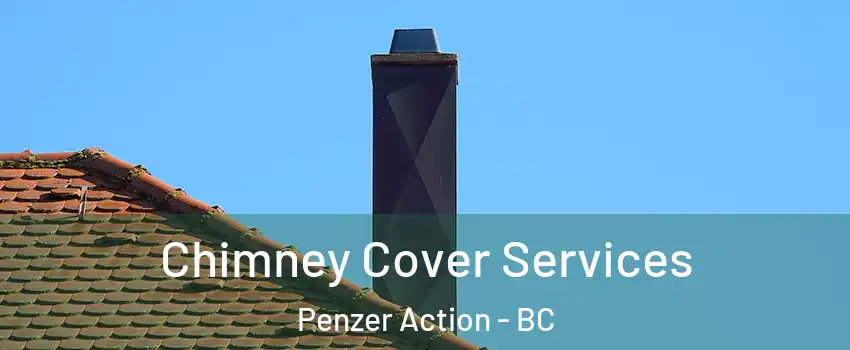  Chimney Cover Services Penzer Action - BC