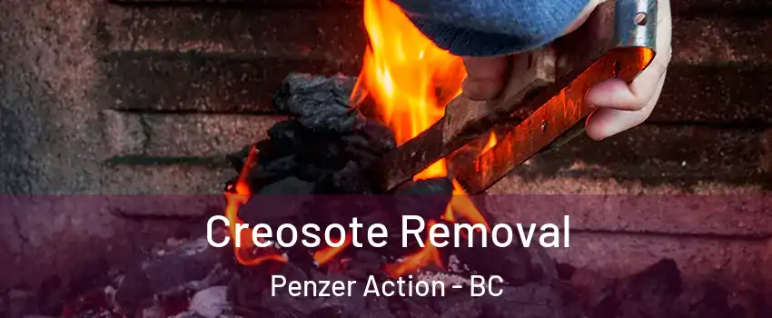  Creosote Removal Penzer Action - BC