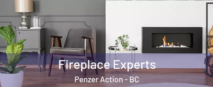  Fireplace Experts Penzer Action - BC