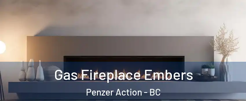  Gas Fireplace Embers Penzer Action - BC